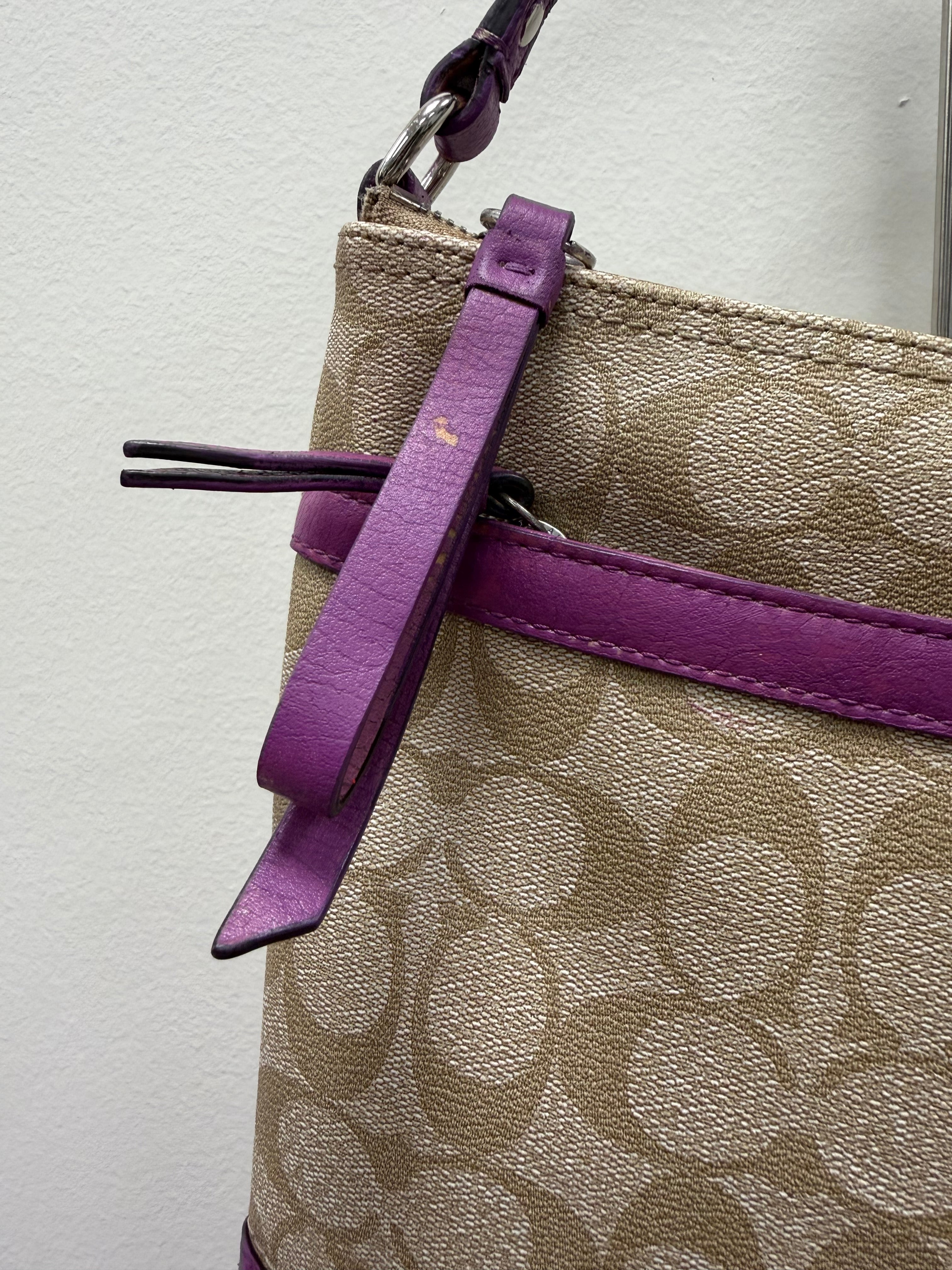 Coach Vintage signature stripe crossbody bag